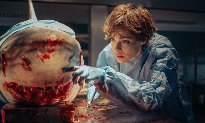 Comemore 50 anos de Tubarão com 10 filmes de streaming