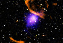 This new composite image made with X-rays from NASA’s Chandra X-ray Observatory (blue and purple), radio data from the MeerKAT radio telescope (orange and yellow), and an optical image from PanSTARRS (red, green, and blue) shows the massive galaxy cluster PLCK G287.0+32.9. Image credit: NASA / CXC / CfA / Rajpurohit et al. / PanSTARRS / SARAO / MeerKAT / SAO / N. Wolk.