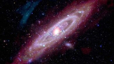This new composite image of the Andromeda galaxy includes X-rays from Chandra and XMM-Newton (represented in red, green, and blue); ultraviolet data from GALEX (blue); optical data from astrophotographers using ground based telescopes (Jakob Sahner and Tarun Kottary); infrared data from Spitzer, the Infrared Astronomy Satellite, COBE, Planck, and Herschel (red, orange, and purple); and radio data from the Westerbork Synthesis Radio Telescope (red-orange). Image credit: NASA.