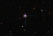 Supermassive Black Hole in Luminous Seyfert Galaxy Shows Signs of ‘Over-Eating’
