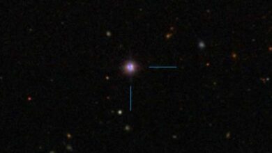 Supermassive Black Hole in Luminous Seyfert Galaxy Shows Signs of ‘Over-Eating’