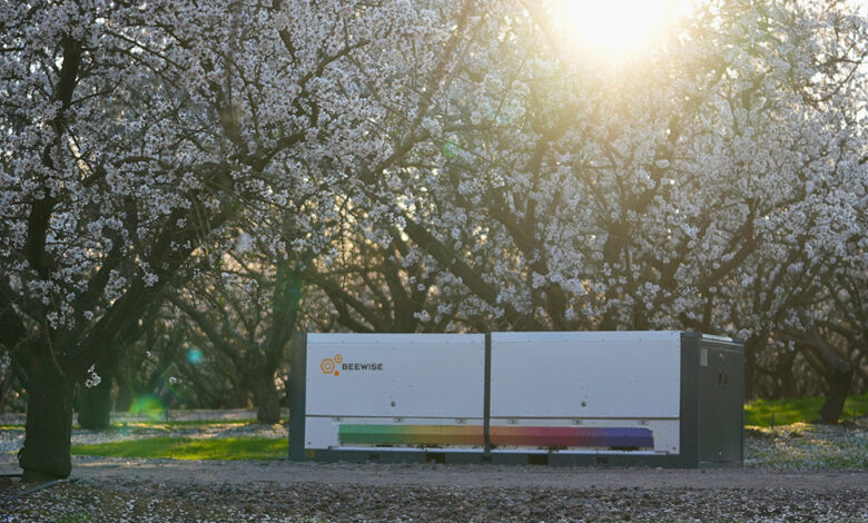 Beewise recebe US$ 50M para expandir robô BeeHome