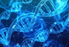 Imigração dos EUA coleta DNA infantil para banco de dados