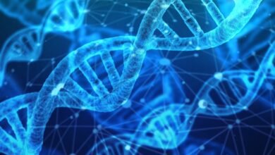 Imigração dos EUA coleta DNA infantil para banco de dados