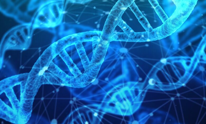 Imigração dos EUA coleta DNA infantil para banco de dados
