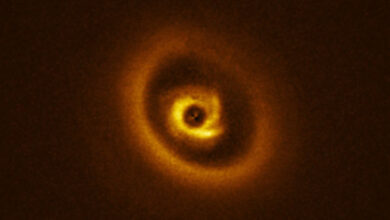This image, taken with ESO’s Very Large Telescope in Chile, shows the RIK113 system. Image credit: ESO / Ginski et al.