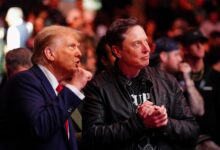 Elon revela que Trump está 'nos arquivos Epstein'