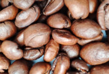 Mahdavi et al. aimed to investigate the association between caffeine intake in midlife and the likelihood of healthy aging in women in older adulthood in participants in the Nurses’ Health Study. Image credit: Sci.News.