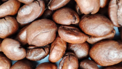 Mahdavi et al. aimed to investigate the association between caffeine intake in midlife and the likelihood of healthy aging in women in older adulthood in participants in the Nurses’ Health Study. Image credit: Sci.News.