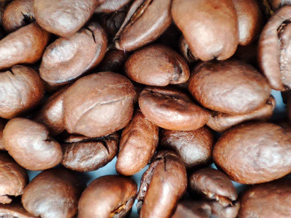 Mahdavi et al. aimed to investigate the association between caffeine intake in midlife and the likelihood of healthy aging in women in older adulthood in participants in the Nurses’ Health Study. Image credit: Sci.News.