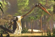 Warm and Humid Climate Conditions Set Stage for Pterosaurs to Take to Skies 220 Million Years Ago