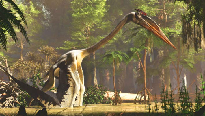 Warm and Humid Climate Conditions Set Stage for Pterosaurs to Take to Skies 220 Million Years Ago
