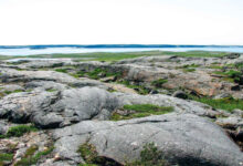 The Nuvvuagittuq Greenstone Belt, Canada. Image credit: Jonathan O’Neil.