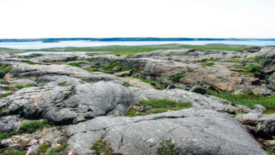 The Nuvvuagittuq Greenstone Belt, Canada. Image credit: Jonathan O’Neil.