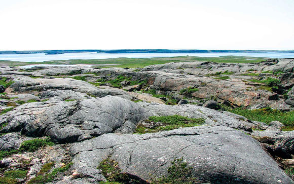 The Nuvvuagittuq Greenstone Belt, Canada. Image credit: Jonathan O’Neil.