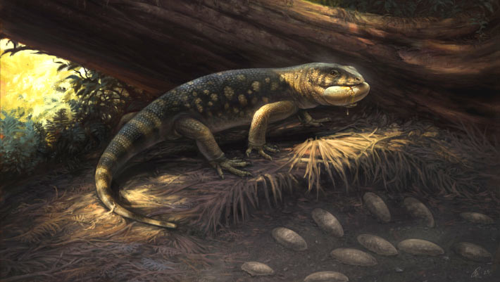 Armored, Large-Bodied Lizards Lived alongside Dinosaurs in Cretaceous North America