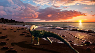 Benggwigwishingasuchus eremicarminis on the Panthalassan Ocean coast. Image credit: Jorge Gonzalez.