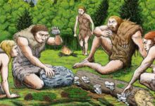 New Research Sheds Light on Neanderthal Migration Out of Caucasus Mountains