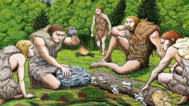 New Research Sheds Light on Neanderthal Migration Out of Caucasus Mountains