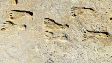 Human Footprints at White Sands Are Up To 22,400 Years Old: Study