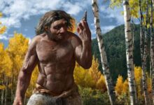 Harbin Fossil Belongs to Denisovan Population, Two New Studies Suggest