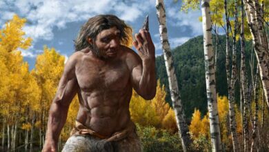 Harbin Fossil Belongs to Denisovan Population, Two New Studies Suggest