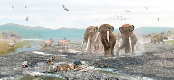 Diversity of extinct mammals that inhabited the surroundings of Lake Tagua Tagua, Chile. Image credit: Mauricio Álvarez.