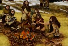 Study: Meat Preservation and Predator Protection, Rather than Cooking, Were Drivers of Early Fire Use
