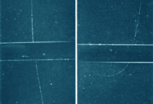 A muon particle passing through lead in a cloud chamber. Image credit: Jino John 1996 / CC BY-SA 4.0.