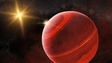 NASA e cientistas cidadãos descobrem novo exoplaneta