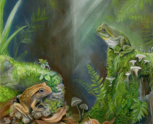 An artist’s reconstruction of Litoria tylerantiqua (right) and the previously-described species Platyplectrum casca (left) from Murgon, south-eastern Queensland. Image: Samantha Yabsley, https://www.instagram.com/s.h.y_art.