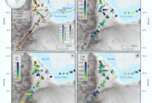 Variation in geochemical and geophysical properties around the Afar Triangle. Image credit: Watts et al., doi: 10.1038/s41561-025-01717-0.