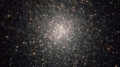 Gaia identifica estrela da 'salsicha' e revela mistério astronômico