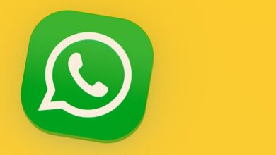 WhatsApp veste novo papel em debates sobre segurança digital