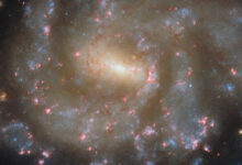 This Hubble image shows the barred spiral galaxy NGC 685. The color image was made from separate exposures taken in the ultraviolet, visible and near-infrared regions of the spectrum with Hubble’s Wide Field Camera 3 (WFC3). It is based on data obtained through six filters. The color results from assigning different hues to each monochromatic image associated with an individual filter. Image credit: NASA / ESA / Hubble / J. Lee / F. Belfiore.