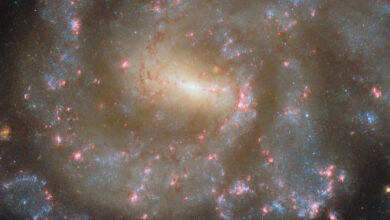 This Hubble image shows the barred spiral galaxy NGC 685. The color image was made from separate exposures taken in the ultraviolet, visible and near-infrared regions of the spectrum with Hubble’s Wide Field Camera 3 (WFC3). It is based on data obtained through six filters. The color results from assigning different hues to each monochromatic image associated with an individual filter. Image credit: NASA / ESA / Hubble / J. Lee / F. Belfiore.