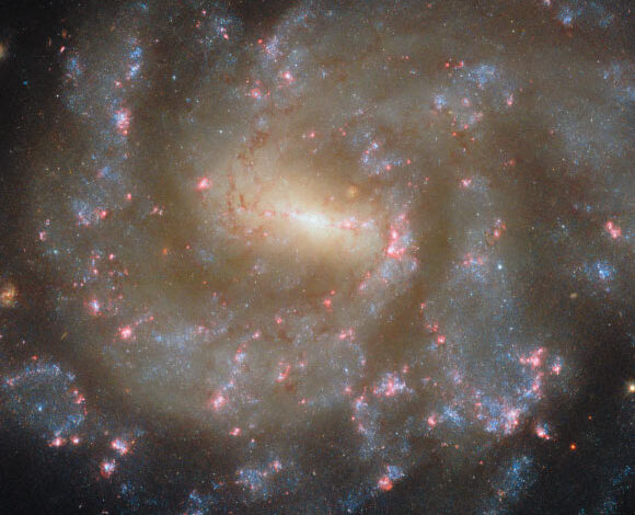This Hubble image shows the barred spiral galaxy NGC 685. The color image was made from separate exposures taken in the ultraviolet, visible and near-infrared regions of the spectrum with Hubble’s Wide Field Camera 3 (WFC3). It is based on data obtained through six filters. The color results from assigning different hues to each monochromatic image associated with an individual filter. Image credit: NASA / ESA / Hubble / J. Lee / F. Belfiore.