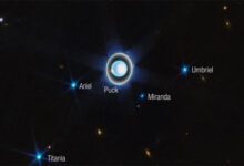 Hubble Investigates Surface Conditions on Four Uranian Moons: Ariel, Umbriel, Titania, and Oberon