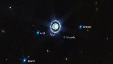 Hubble Investigates Surface Conditions on Four Uranian Moons: Ariel, Umbriel, Titania, and Oberon