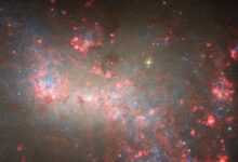 This Hubble image shows NGC 4449, a dwarf galaxy some 12.5 million light-years away in the constellation of Canes Venatici. Image credit: NASA / ESA / Hubble / E. Sabbi / D. Calzetti / A. Aloisi.