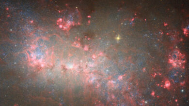 This Hubble image shows NGC 4449, a dwarf galaxy some 12.5 million light-years away in the constellation of Canes Venatici. Image credit: NASA / ESA / Hubble / E. Sabbi / D. Calzetti / A. Aloisi.