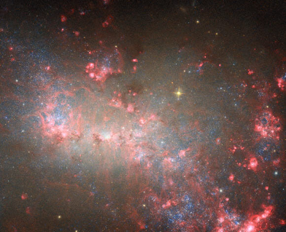 This Hubble image shows NGC 4449, a dwarf galaxy some 12.5 million light-years away in the constellation of Canes Venatici. Image credit: NASA / ESA / Hubble / E. Sabbi / D. Calzetti / A. Aloisi.