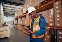 Sabi demite 20% e pivota para exportação rastreável