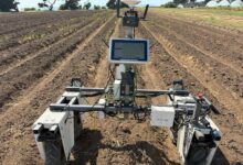 Farm-ng atualiza software de robô para pequenas e médias fazendas