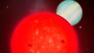 An artist’s illustration of TOI-6894b behind its host star. Image credit: Mark Garlick / University of Warwick.