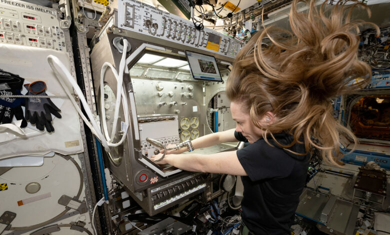NASA destaca experiências de astronauta na ISS