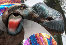 Paleontologists Discover Previously Unknown Connective Tissue Structure in Dinosaurs