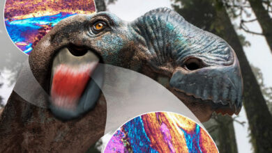 Paleontologists Discover Previously Unknown Connective Tissue Structure in Dinosaurs