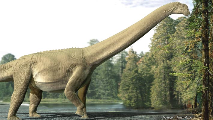 Paleontologists Find Fossilized Gut Contents of Sauropod Dinosaur