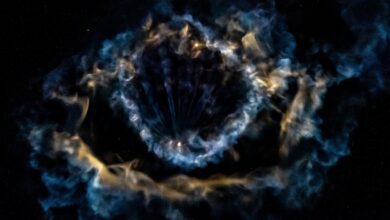 SpaceX lança foguete e cria anel nebuloso no céu